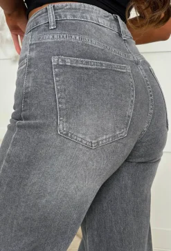 Rae Grey Stretch Flared Wide Leg Jeans