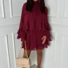 Romantic Frills Burgundy Frill Georgette Dress